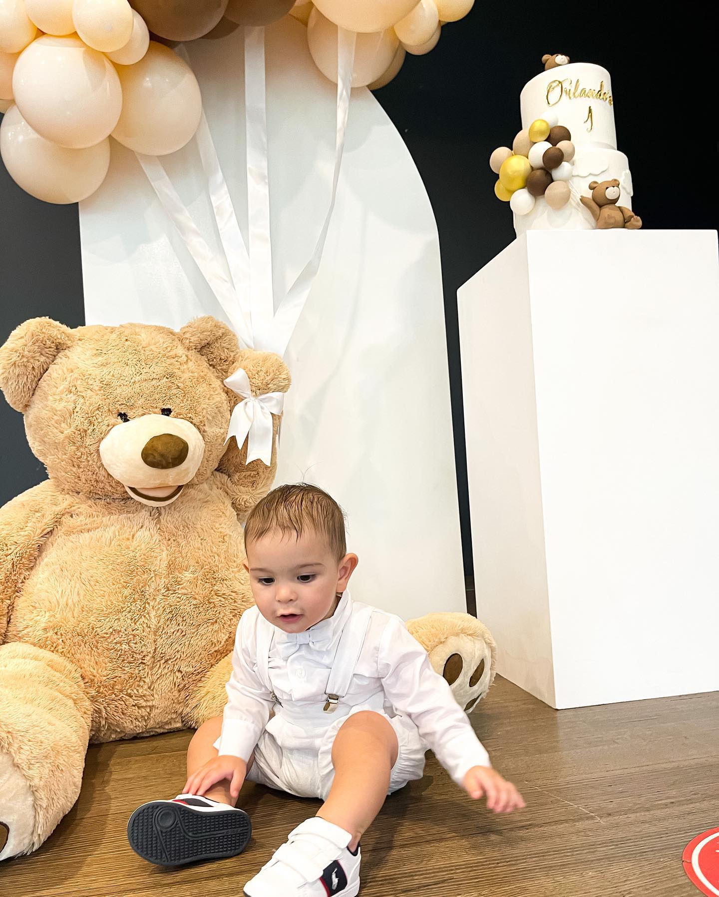 The Teddy Bear Theme Package- Including Balloon Garland
