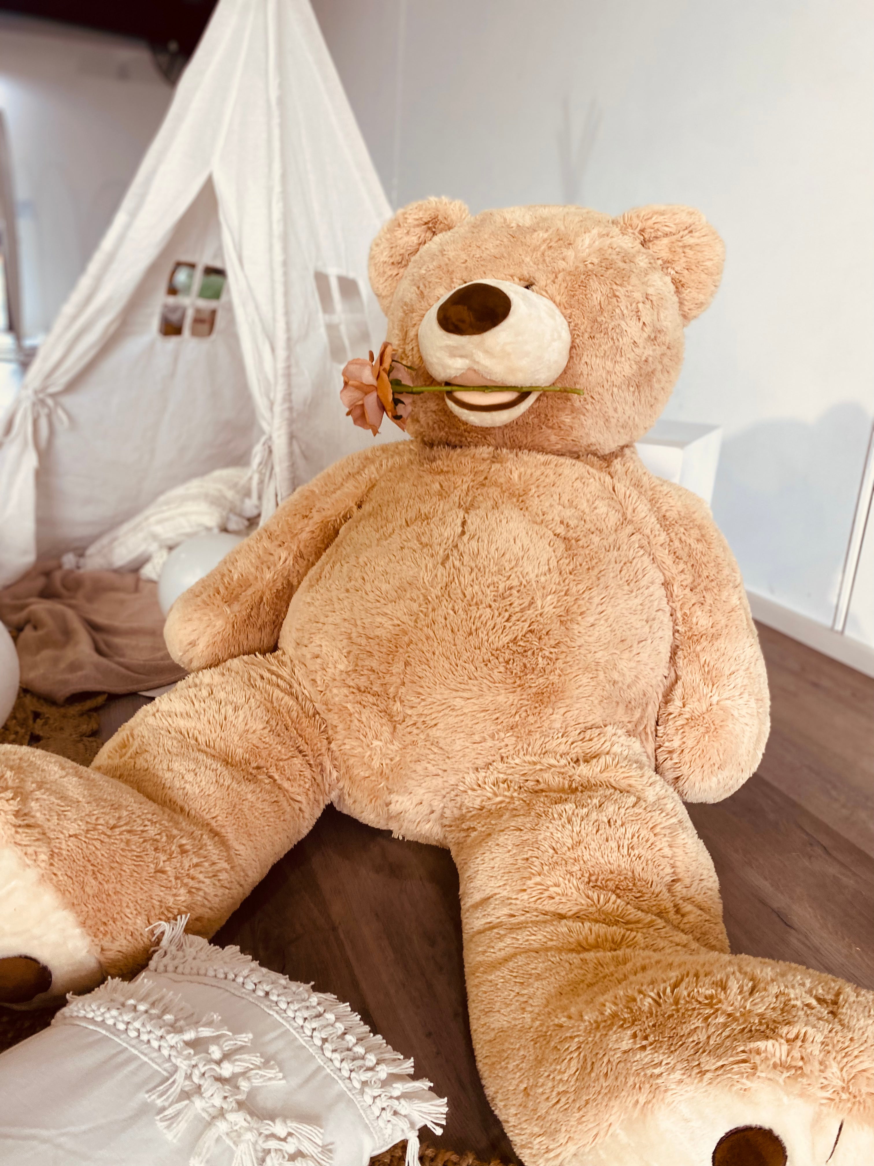 Teddy Bear Picnic Package